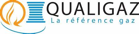agency-qualifications